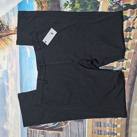 Crow Philosophy‎ Italy Heather Gray Casual Pants Size Large NWT - Picture 2 of 11